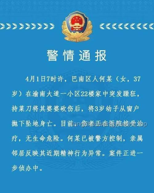 精神病人刑事责任能力对比分析：从法律与人性视角